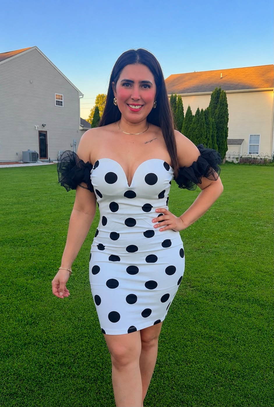Anastasia/Polka Dot Ruffle Mini Dress